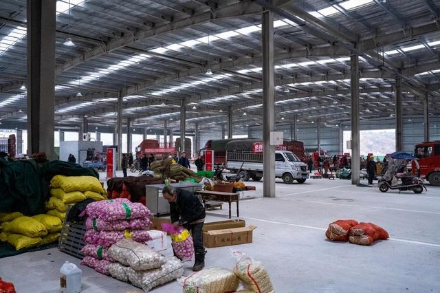 辐射成渝!内江这个蔬菜批发区开市啦(图3) 辐射成渝!内江这个蔬菜批发区开市啦(图3)