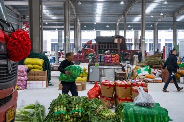 辐射成渝!内江这个蔬菜批发区开市啦(图2) 辐射成渝!内江这个蔬菜批发区开市啦(图2)
