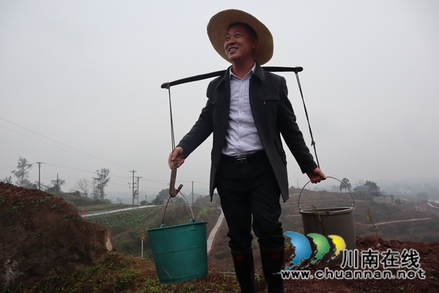 草长莺飞植树忙！泸县云龙镇开展2021年植树节活动(图2)