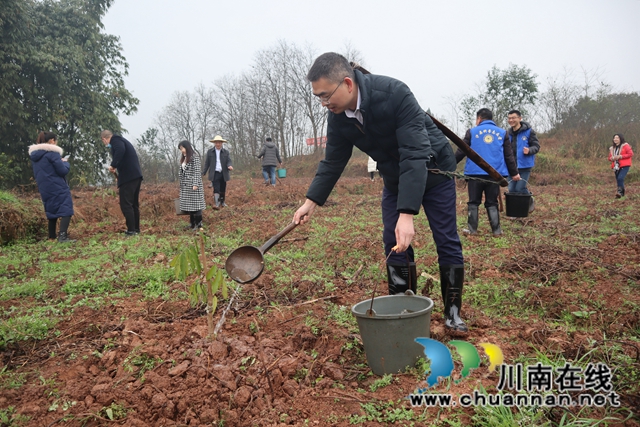 草长莺飞植树忙！泸县云龙镇开展2021年植树节活动(图4)