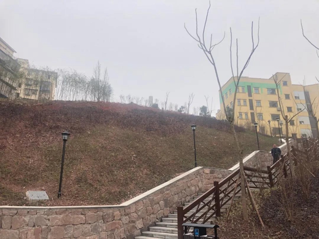 泸州四个小游园上线(图1)