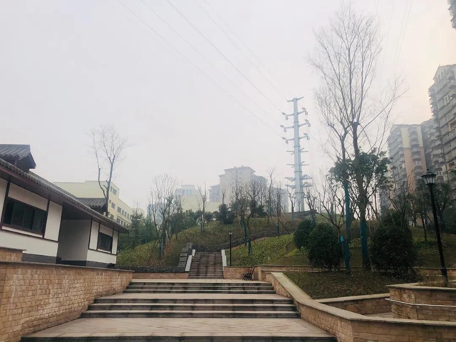 泸州四个小游园上线(图2)