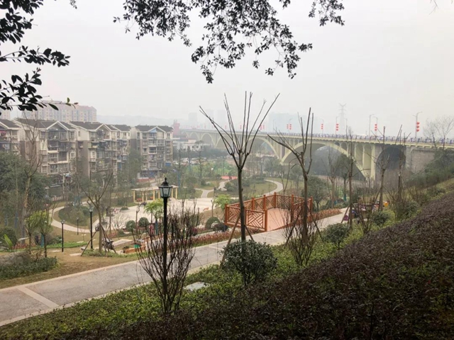 泸州四个小游园上线(图3)
