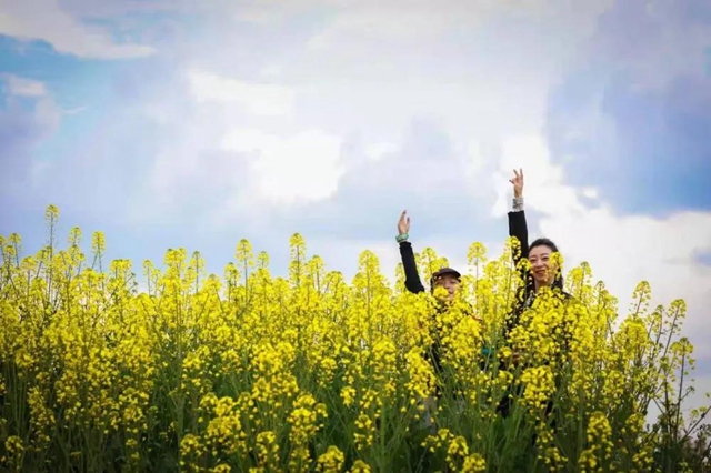 无边光景一时新！春到盐都——(图5)