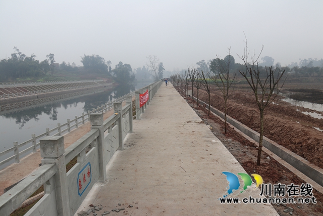 泸县百和镇开展2021年义务植树活动(图3)