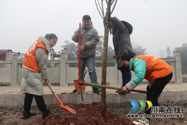泸县百和镇开展2021年义务植树活动(图1)