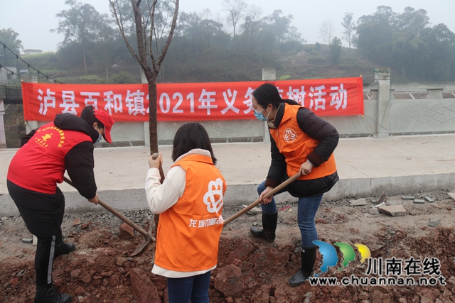 泸县百和镇开展2021年义务植树活动(图2)