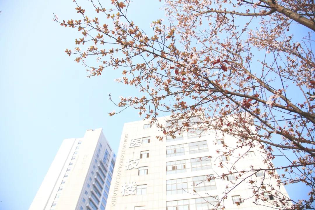 市人医，又美了！(图20)
