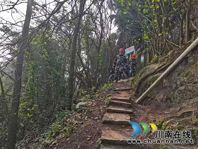 龙马潭区罗汉街道开展2021年森林防火、灭火应急演练(图4)