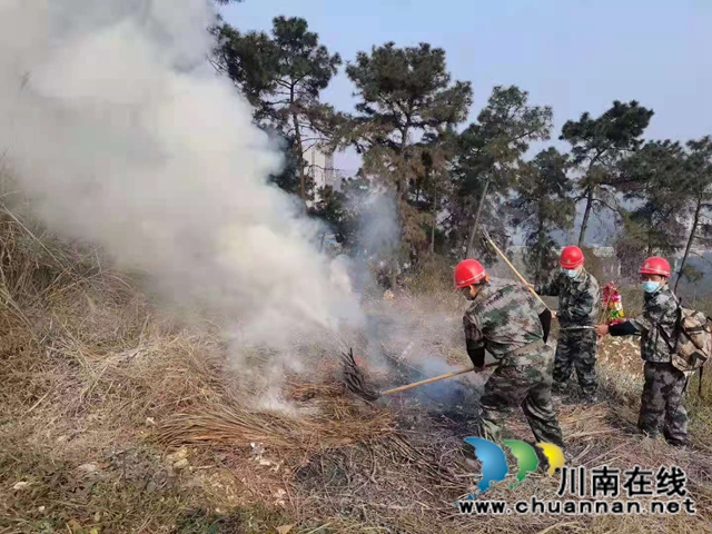 龙马潭区罗汉街道开展2021年森林防火、灭火应急演练(图3)