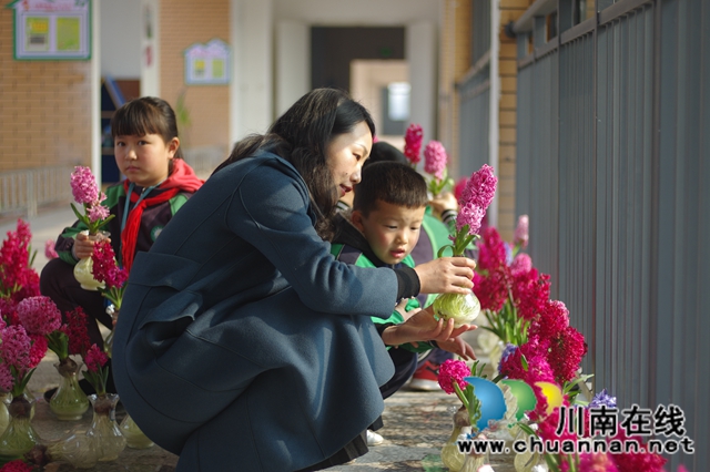 赏花 +采摘　泸县城东小学成了春天里的乐园(图8)