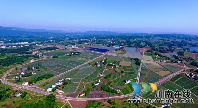 泸州市推进乡村振兴系列报道（二）：产业兴旺美如画(图3)