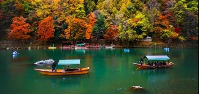龙马潭公园即将全新打造，预计年底重新开放(图6)