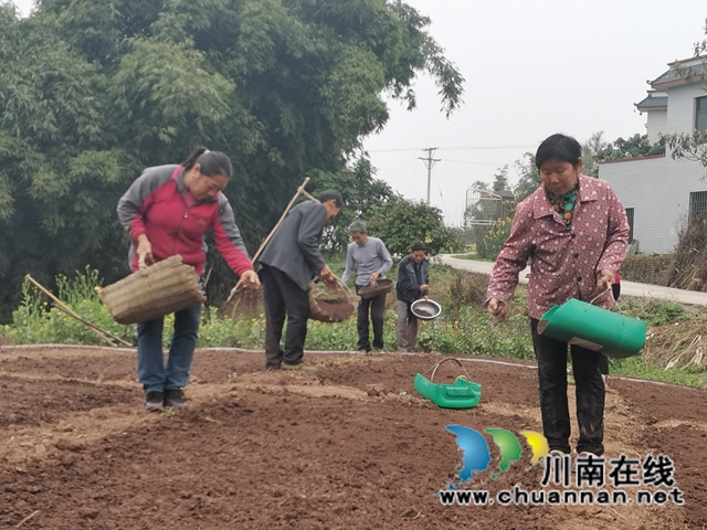 泸县：推广良种良法，提高春耕保含金量(图2)