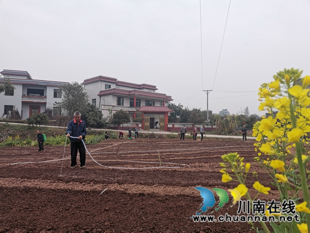泸县：推广良种良法，提高春耕保含金量(图1)