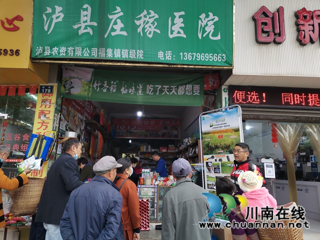 泸县：推广良种良法，提高春耕保含金量(图7)