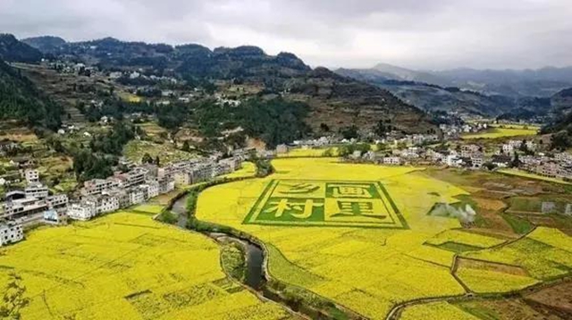 泸州这些赏花地，可以约会春天(图1)