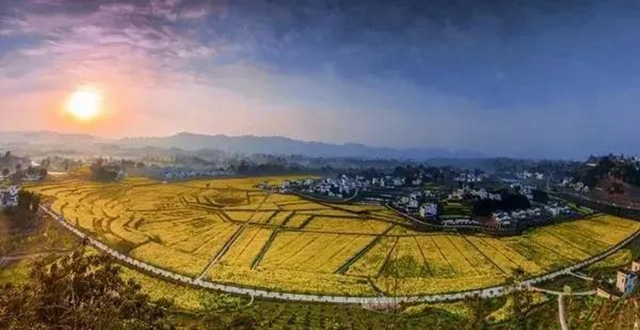 泸州这些赏花地，可以约会春天(图2)