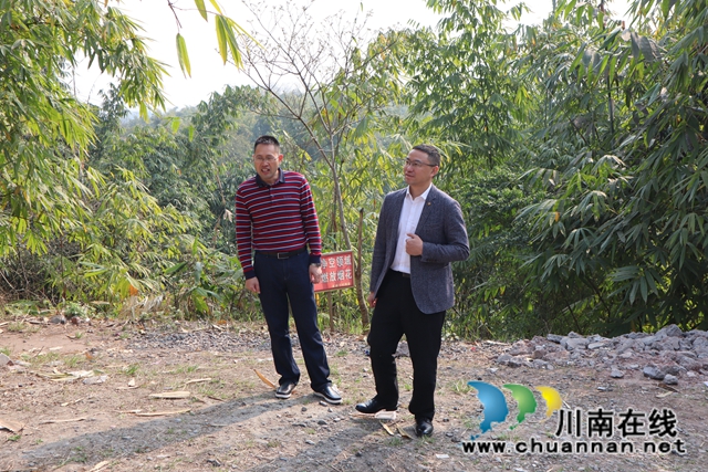 陈刚到泸县云龙镇督导当前重点工作(图2)