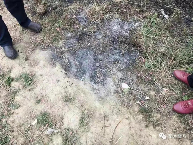 大胆！威远两男子在防火区烧纸钱放火炮！警方直接拘留5天
