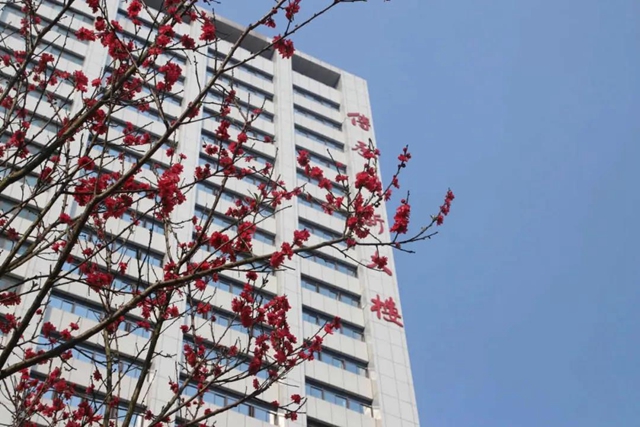 【扩散】有奖征集，西南医大中医院哪里最美？(图1)