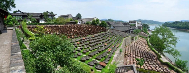 爱上合江先市的理由，都在这份地方特产名单里！(图8)