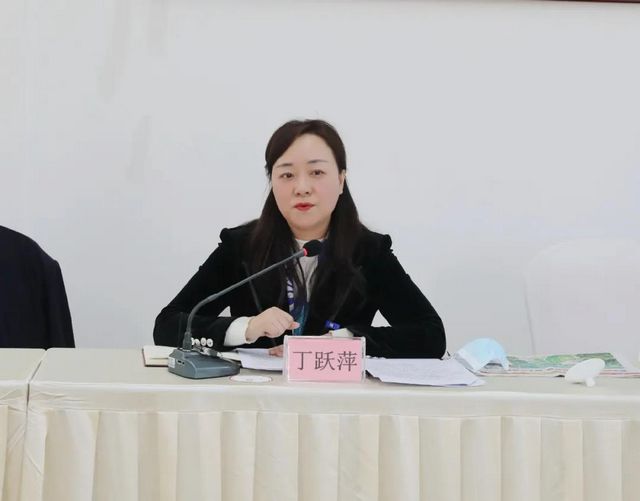 两会声音丨市政协委员丁跃萍：规划引领要素保障管控约束，为泸州高质量发展提供坚实支撑(图1)