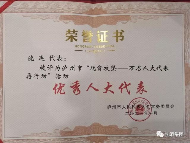 聚焦两会丨泸州市政协委员沈连积极建言献策，成绩斐然荣获双奖(图2)