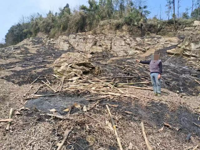屏山又有6人被拘留！这件事情千万重视……(图5)