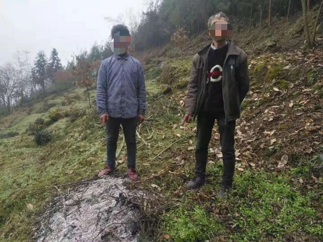 屏山又有6人被拘留！这件事情千万重视……(图6)