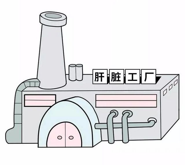 【关注】吴孟达患肝癌去世！这些信号要警惕？(图10)