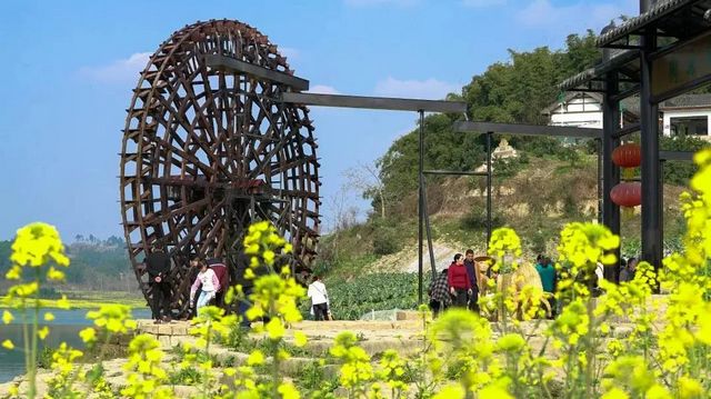 速来！央视“打卡地”又有新变化！内江这处网红点太美了(图3)