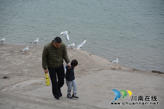 法治护航长江生态,江阳法院在行动!(图11) 法治护航长江生态,江阳法院在行动!(图11)