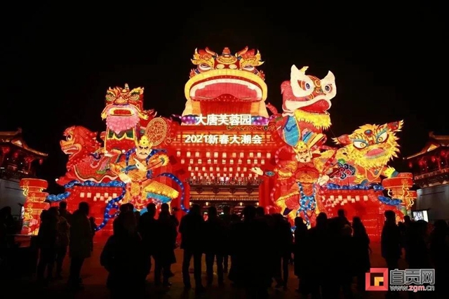 自贡彩灯点亮这里，又引来央视关注！(图2)