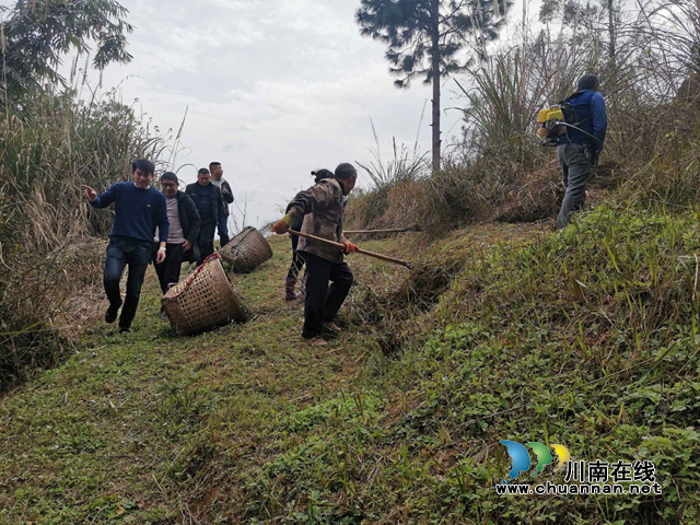 宜宾南溪区长兴镇持续做好森林防火工作(图1)