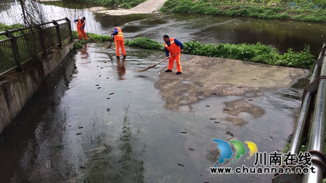 龙马潭区红星街道开展“爱护河道 全面清理”志愿服务活动(图1) 龙马潭区红星街道开展“爱护河道 全面清理”志愿服务活动(图1)