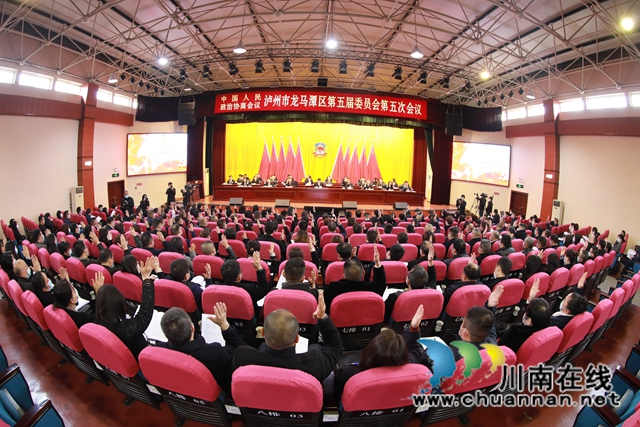 凝心汇智，共谋发展！龙马潭区统一战线在区“两会”上发出好声音(图1)