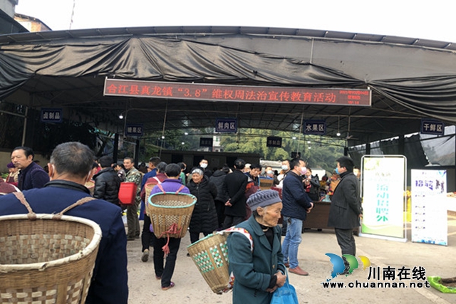 合江县真龙镇开展“3.8”维权周法治宣传活动(图1)