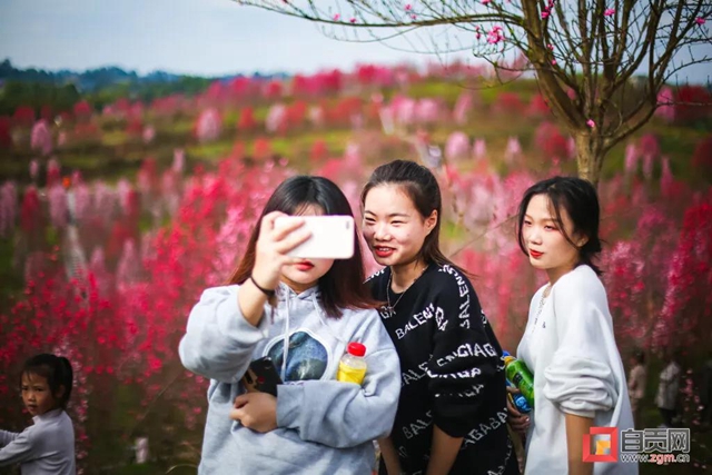 这么美的自贡，你不点进来看看？(图19)