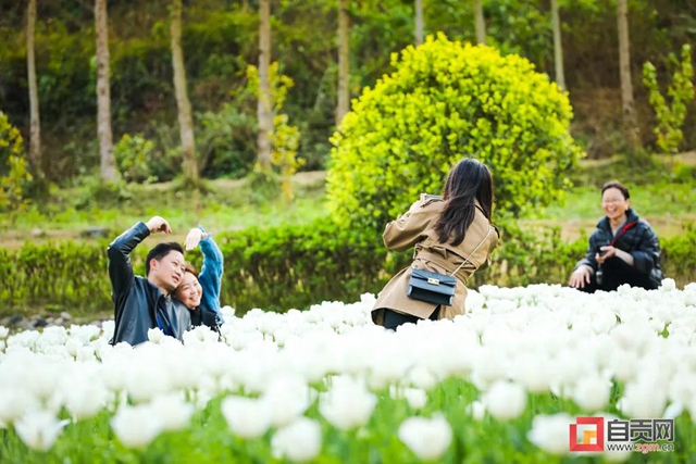 这么美的自贡，你不点进来看看？(图24)