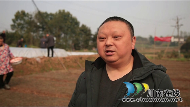 合江优质稻示范基地唱响春耕序曲(图5)