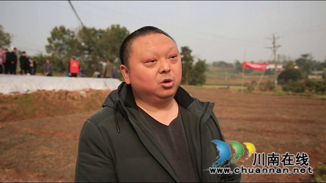 合江优质稻示范基地唱响春耕序曲(图10)