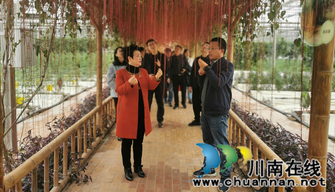 学雷锋纪念日 民革泸州市新党员支部在行动(图2)