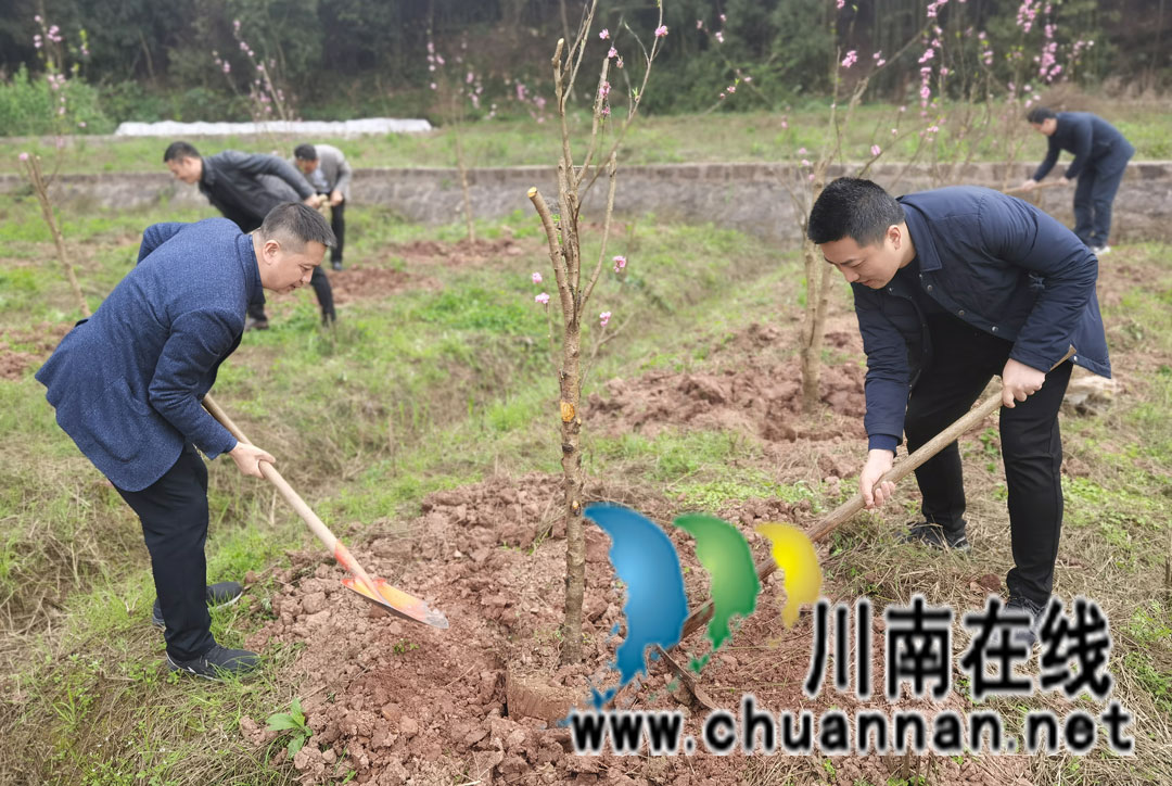学雷锋纪念日 民革泸州市新党员支部在行动(图1)
