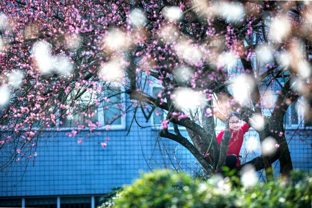 “醉美合江”靓照出炉，这么美的大片你见过吗？(图7)
