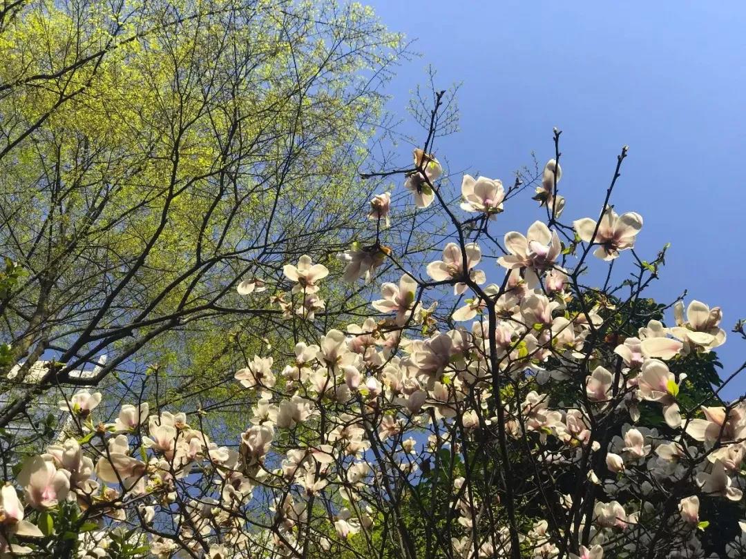 【投票】现金大奖，花落谁家请你定？(图2)