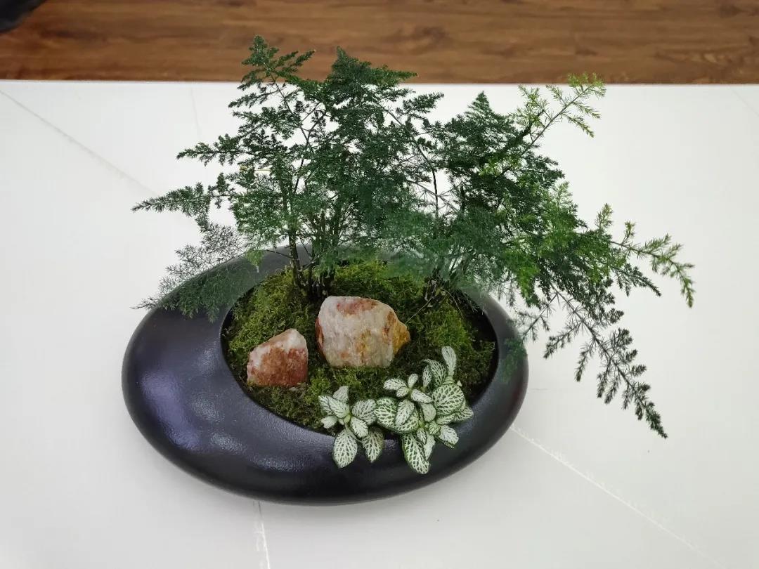 全市警营首家——泸县公安局心理健康服务中心揭牌(图10) 全市警营首家——泸县公安局心理健康服务中心揭牌(图10)