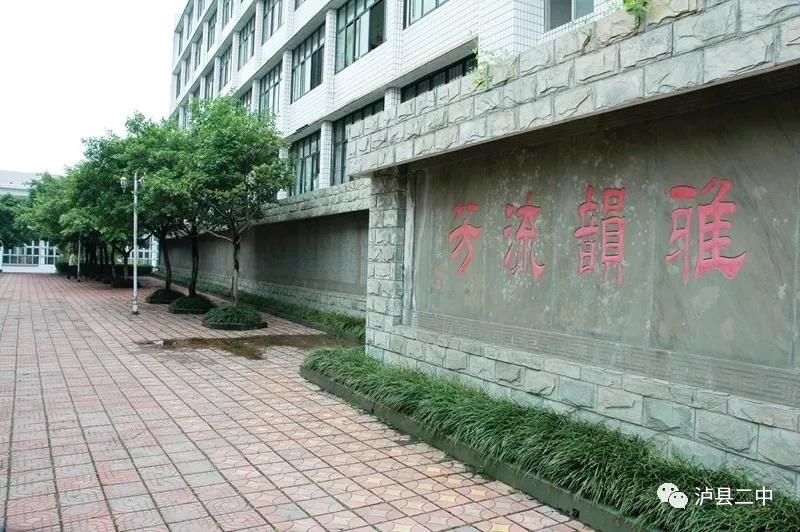 泸县二中2021年公办在职教师招聘公告(图5)