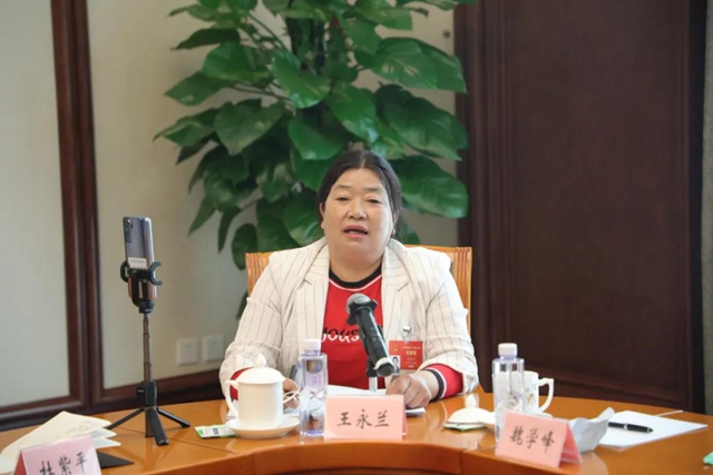 四川代表团建议：将宜西攀高铁纳入国家“十四五”铁路规划