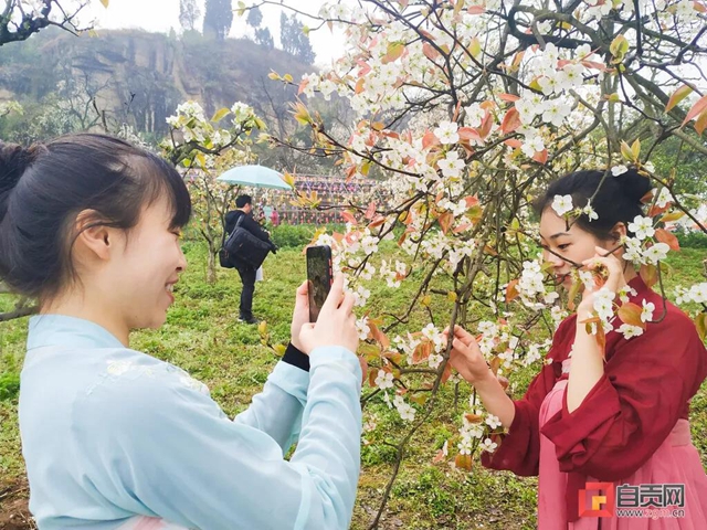 自贡三多古寨花都开了！就等你(图4)